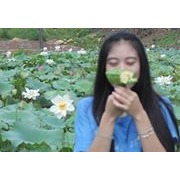 馮垚穎