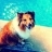 Collie Lu