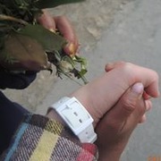 鍾 啟嫺
