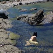 王假真