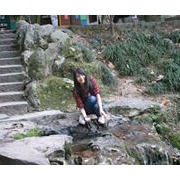 Xiaoxue Zhang