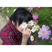 Zi Ling Cheng