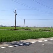 王小心