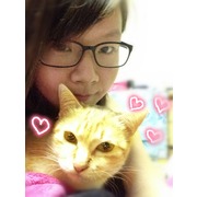 王盈臻