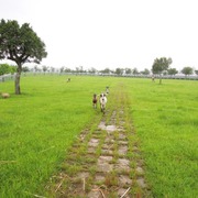 李雯惠