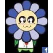 魏淑菁