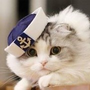 伊若娜