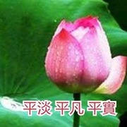 徐玉英